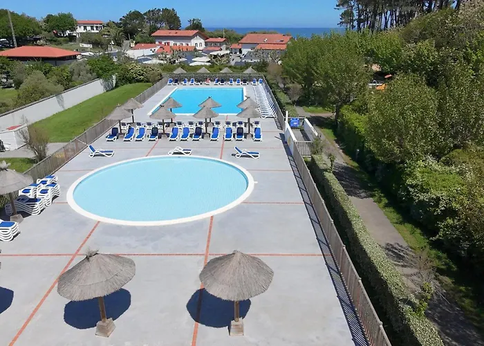 Olatua La Vague Votre Havre Basque A La 公寓 *