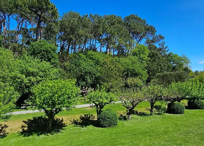 Olatua La Vague Votre Havre Basque A La 圣让－德吕兹