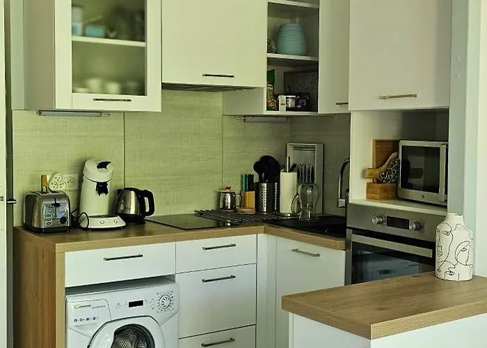 Olatua La Vague Votre Havre Basque A La 公寓 *