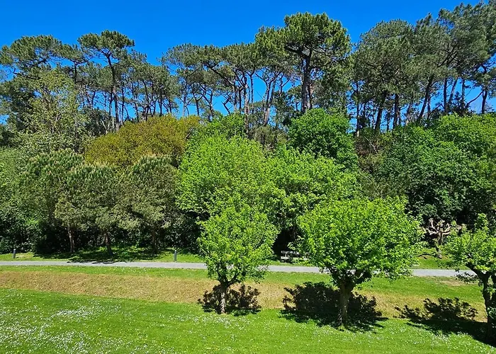 公寓 Olatua La Vague Votre Havre Basque A La 圣让－德吕兹