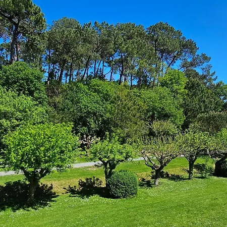 Olatua La Vague Votre Havre Basque A La Saint-Jean-de-Luz