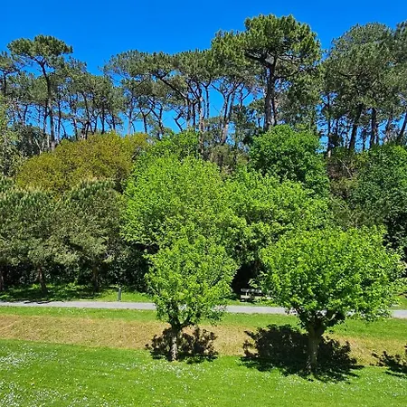 Apartment Olatua La Vague Votre Havre Basque A La Saint-Jean-de-Luz